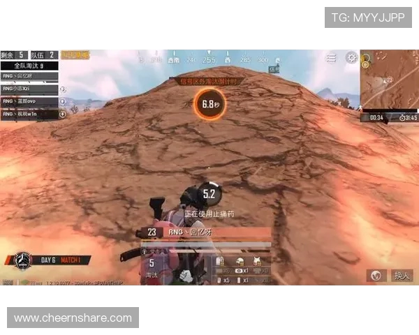 聚焦和平精英RNG团队协作的成功秘诀与挑战分析